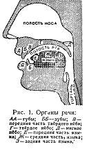 ������ ����